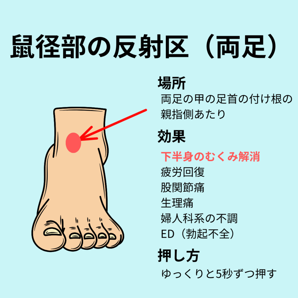 鼠径部の反射区