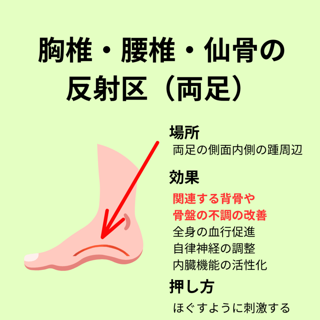 胸椎・腰椎・仙骨の反射区