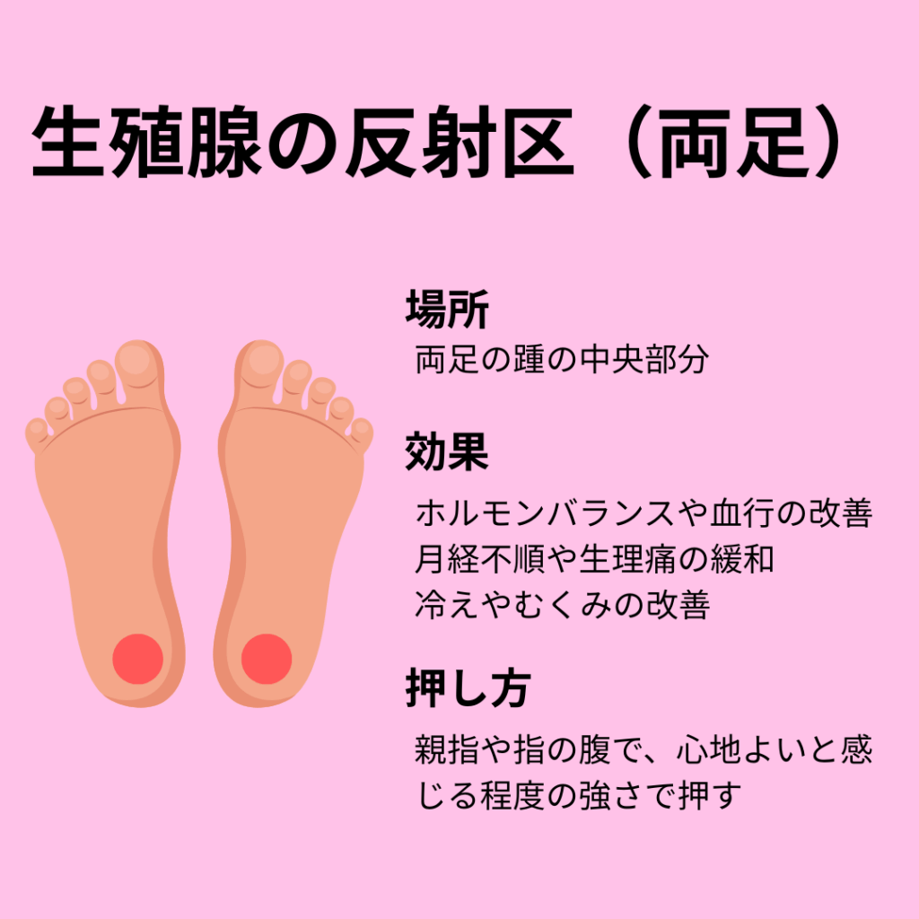 生殖腺の反射区