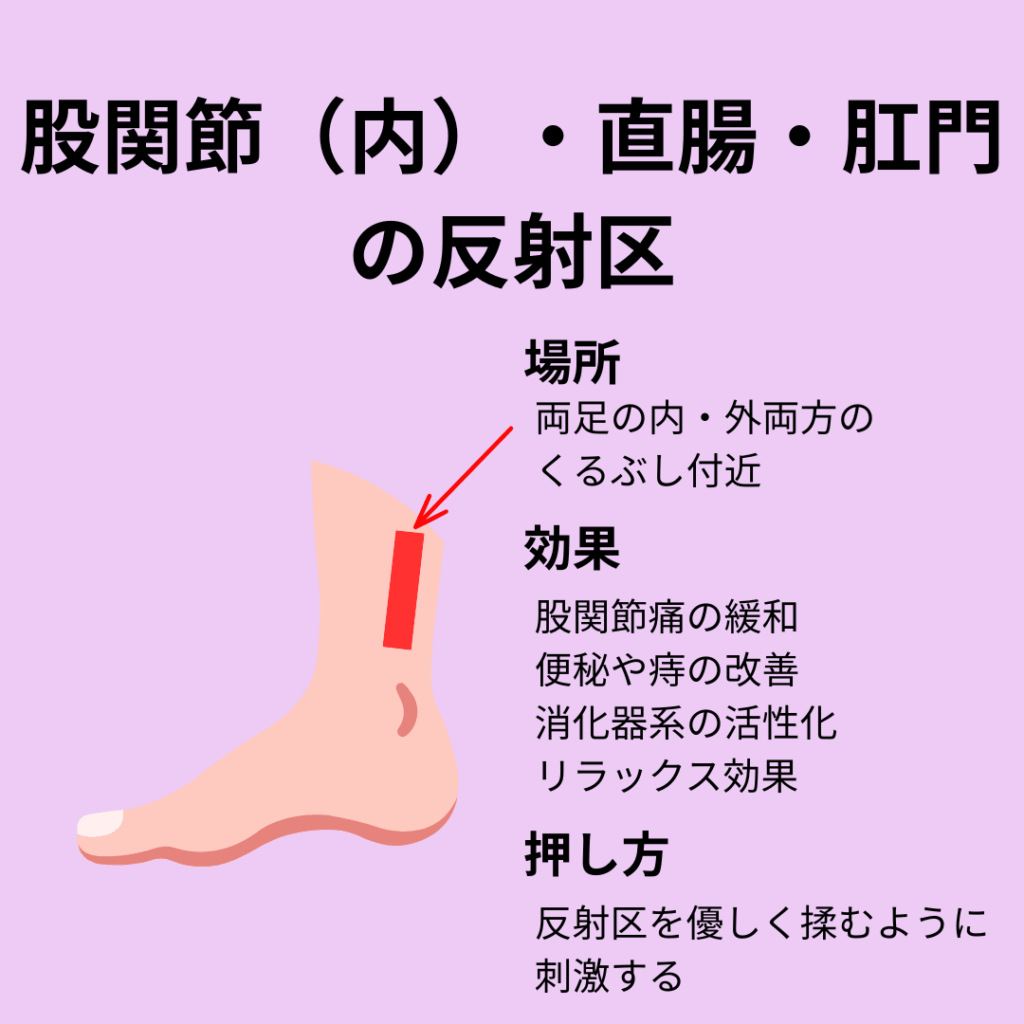 股関節(内)・直腸・肛門の反射区
