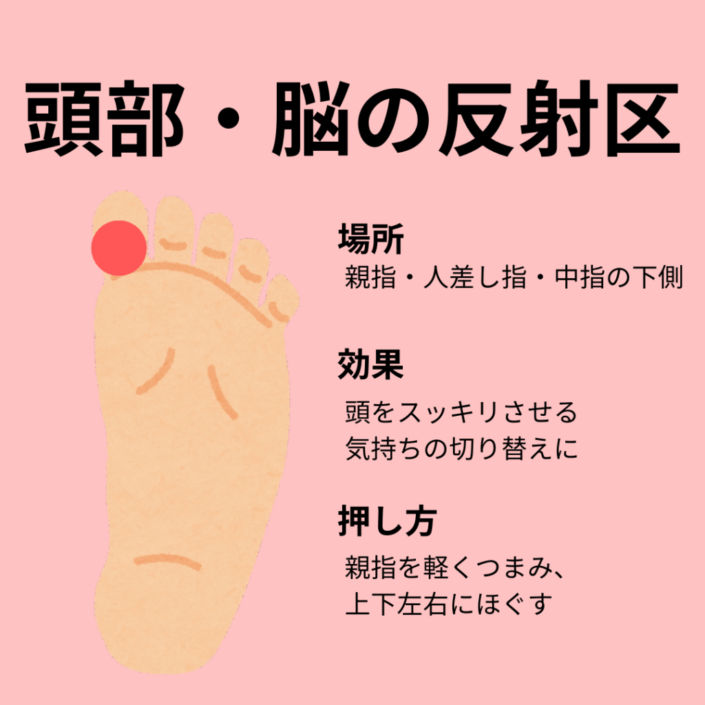 頭部・脳の反射区