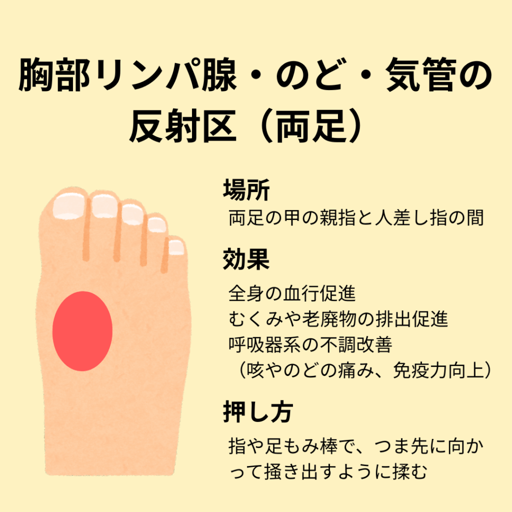 胸部リンパ腺・のど・気管 (1)