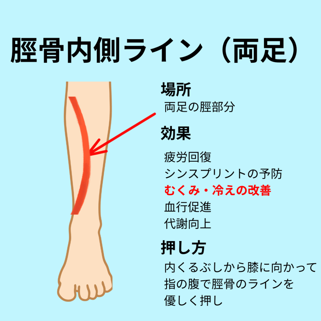 脛骨内側ライン
